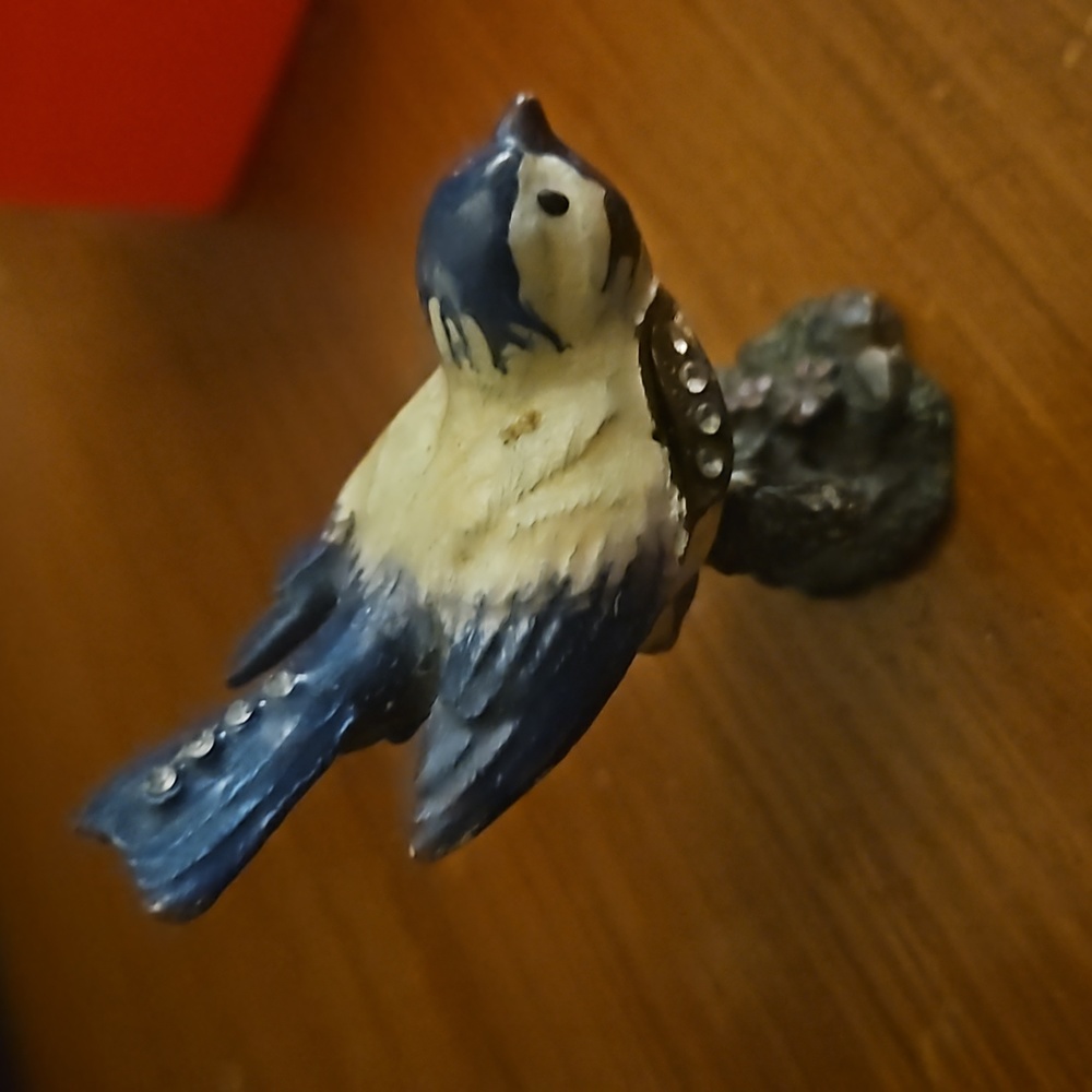 Sparrow trinket box